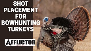 Proper Shot Placement For BOWHUNTING Turkeys [upl. by Nala]