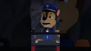 Pieski z Psiego Patrolu ratują dzieci i kotki  Psi Patrol Polski PAWPatrol Shorts [upl. by Trinl]