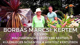 Borbás Marcsi Kertem  Magyarország legszebb kertjei Különleges növények A kertész kertjében [upl. by Gnolb]