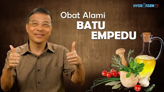 Obat Alami BATU EMPEDU [upl. by Cristian]