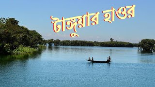 টাঙ্গুয়ার হাওর সুনামগঞ্জ  Tanguar Haor Sunamganj [upl. by Kale]