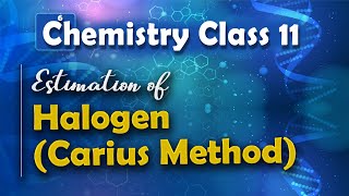 Estimation of Halogen Carius Method  Basic Principles and Techniques in Organic Chemistry [upl. by Capriola17]