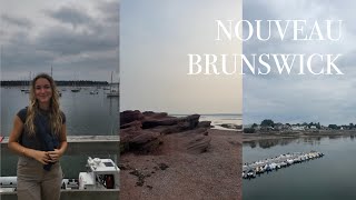 WEEKLY VLOG  roadtrip au nouveaubrunswick [upl. by Su247]