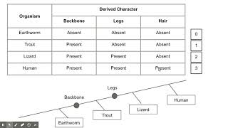 How to Create a Cladogram [upl. by Malorie]