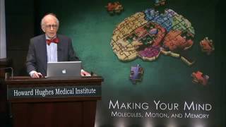 Mapping memory in the brain Eric Kandel 2008 [upl. by Ariait471]