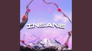 Insane [upl. by Zolly]