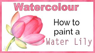 How to Paint a Water Lily in Watercolor 🌸 [upl. by Derrej]