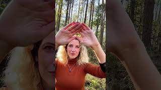 Tingles in the woods with Reiki reiki asmrvideos reikihealing healing ng [upl. by Christen766]