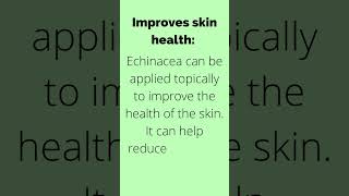 Benefits of Echinacea [upl. by Melodee]