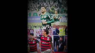 Palmeiras x Flamengo  Edit VS • shorts edit foryou fyp viral [upl. by Klute41]