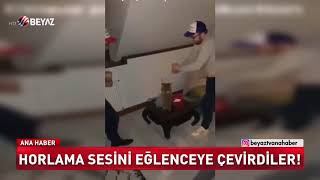 HORLAMA SESİNİ EĞLENCEYE ÇEVİRDİLER [upl. by Iroc]