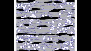 Phase field modellingFerrite recrystallization [upl. by Kristie879]