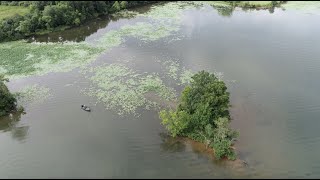 Unlock the Lake Bill Lowen breaks down Lily Pads [upl. by Naened]