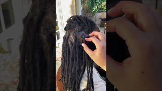 This is how Interlocking Dreads dreadocks dreads dreadsjourney [upl. by Deibel390]