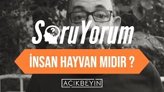 SoruYorum  İnsan Hayvan Mıdır [upl. by Euv]