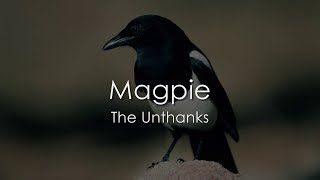 Magpie  The Unthanks  LYRICS [upl. by Aeynod]