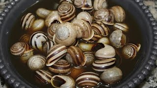 Les escargots à la marocaine  كيفية تحضير الحلزون على الطريقة المغربية [upl. by Zonda]