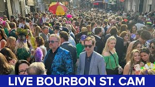 Live New Orleans Mardi Gras Bourbon St Camera [upl. by Anawait728]