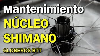 Mantenimiento del Núcleo Shimano Deore y XT  Globeros BTT [upl. by Niamert]