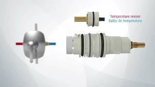 RiobelPRO®  Thermostatic pressure balanced [upl. by Nerte]