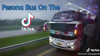 Pesona bus tik tok [upl. by Natalina]