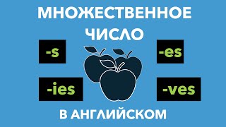 Множественное число существительных в английском языке  правила и исключения [upl. by Melessa366]