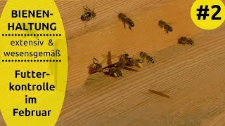 Futterkontrolle im Februar – Bienenhaltung extensiv amp wesensgemäß 2 [upl. by Nosreg114]