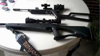 Benjamin Trail NP Review with multiple pellets inc JSB Predator Gamo Crosman [upl. by Steven]