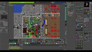 Tibia War QuinteraDanox Firesoul 904 ED Falcons [upl. by Tnecillim621]