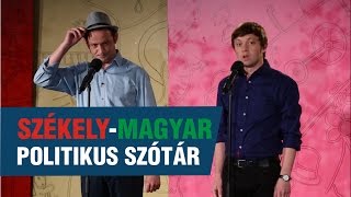 Szomszédnéni Székelymagyar politikus szótár [upl. by Karwan]