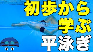 【平泳ぎ】初心者向け【ポイント解説】 [upl. by Eiznekcam325]