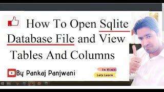 How To Open Sqlite Database File and View Tables and Columns  Hindi [upl. by Enorel]