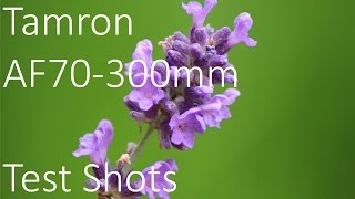 Tamron AF 70300m f456 Di LD Macro Lens Test Shots [upl. by Dremann793]