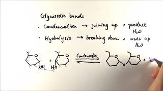 AS Biology  Basics of carbohydrates OCR A Chapter 33 [upl. by Nadual121]