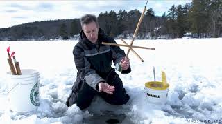 How to set a tipup for ice fishing [upl. by Liamaj521]