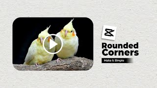 CapCut Tutorial How to Make Rounded Corners [upl. by Eneja302]