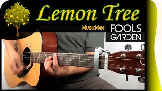 LEMON TREE 🌳🍋  Fools Garden  GUITAR Cover  MusikMan N°131 [upl. by Llenyar]