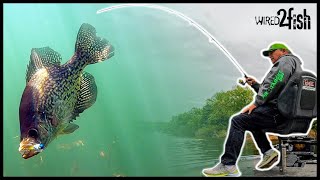 6 Tips for Successful Crappie Fishing [upl. by Aninay]