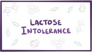 Lactose intolerance  causes symptoms diagnosis treatment amp pathology [upl. by Mulderig]