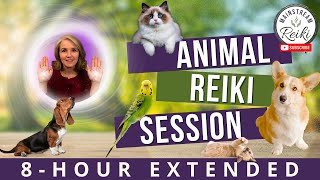 8Hour Animal Reiki Session  Calm and Healing for Your Pets 🐾 [upl. by Giorgi]