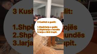 Tre kushtet e guslit [upl. by Dorren]