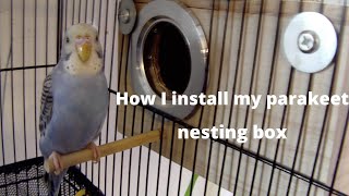 How to install my parakeet nesting box in the cage [upl. by Yatnod]