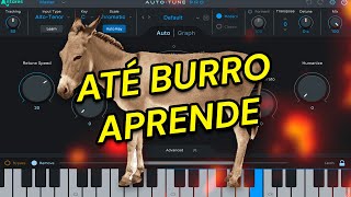 como usar AutoTune pra deixar seus vocais menos horríveis [upl. by Vieva641]