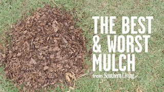 The Best and Worst Mulch for Your Garden  Southern Living [upl. by Fihsak598]