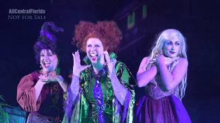 Hocus Pocus Villain Spelltacular 2017 FULL SHOW at Mickeys Not So Scary Halloween Party 4K [upl. by Manoop]