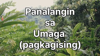 Panalangin sa Umaga pagkagising ngayon tagalog [upl. by Ennayk49]