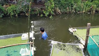 Cách làm sông trong ao đơn giản nuôi cá bá phátModel of a river in a pond [upl. by Kondon]