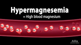 Hypermagnesemia Causes Pathophysiology Symptoms Diagnosis and Treatment Animation [upl. by Hamrnand]