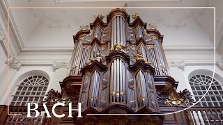 Bach  Wir glauben all an einen Gott BWV 680  Smits  Netherlands Bach Society [upl. by Apthorp]