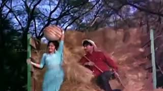 Kaanton Se Kheench Ke Yeh Aanchal  Lata Mangeshkar  Dev Anand Waheeda Rehman  Guide 1965 [upl. by Keeton]